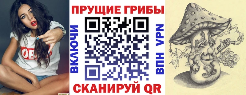 мега ССЫЛКА  даркнет сайт  Тбилисская  Псилоцибиновые грибы мухоморы 
